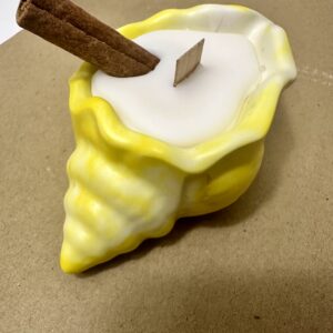 Summer Glow Seashell Candle