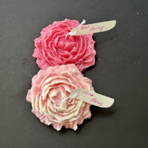 Blushing Peony Bloom Set, Pink & Rose 🌺